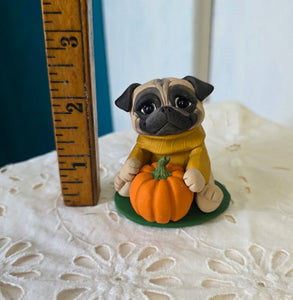 Autumn Pug with Pumpkin Hand Sculpted Collectible