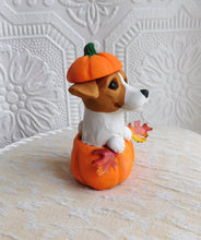 Load image into Gallery viewer, Jack Russell Terrier in Pumpkin Autumn Sculpture hand sculpted Collectible
