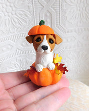 Load image into Gallery viewer, Jack Russell Terrier in Pumpkin Autumn Sculpture hand sculpted Collectible
