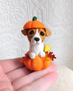 Jack Russell Terrier in Pumpkin Autumn Sculpture hand sculpted Collectible