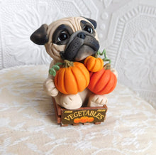 Load image into Gallery viewer, Autumn Pug with Pumpkins in Crate Hand Sculpted Collectible
