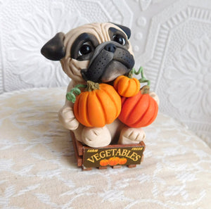 Autumn Pug with Pumpkins in Crate Hand Sculpted Collectible