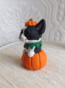 Boston Terrier in Pumpkin Halloween Sculpture hand sculpted Collectible