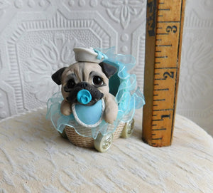 Little Boy Baby Pug with pacifier in Blue Buggy Hand sculpted Clay Collectible