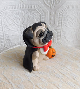 Halloween Vampire Pug with Pumpkin Hand Sculpted Collectible