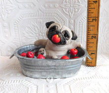 Load image into Gallery viewer, Autumn Pug Bobbing for Apples Hand Sculpted Collectible