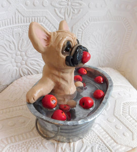 Autumn French Bulldog Bobbing for Apples Hand Sculpted Collectible