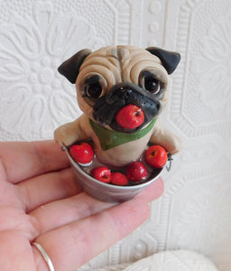 Autumn Pug Bobbing for Apples Hand Sculpted Collectible