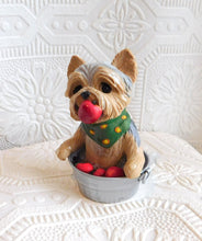 Load image into Gallery viewer, Autumn Yorkshire Terrier Bobbing for Apples Hand Sculpted Collectible