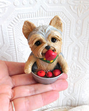 Load image into Gallery viewer, Autumn Yorkshire Terrier Bobbing for Apples Hand Sculpted Collectible