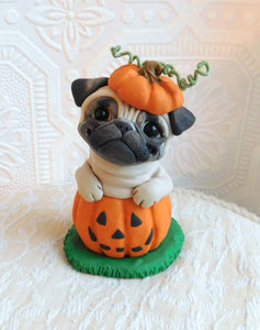 Pug in Jack-o-lantern Pumpkin Halloween Sculpture hand sculpted Collectible