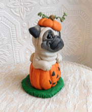 Load image into Gallery viewer, Pug in Jack-o-lantern Pumpkin Halloween Sculpture hand sculpted Collectible