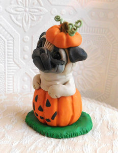 Pug in Jack-o-lantern Pumpkin Halloween Sculpture hand sculpted Collectible