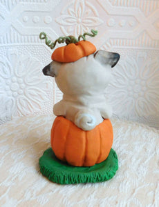 Pug in Jack-o-lantern Pumpkin Halloween Sculpture hand sculpted Collectible