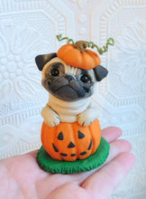 Load image into Gallery viewer, Pug in Jack-o-lantern Pumpkin Halloween Sculpture hand sculpted Collectible