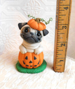 Pug in Jack-o-lantern Pumpkin Halloween Sculpture hand sculpted Collectible