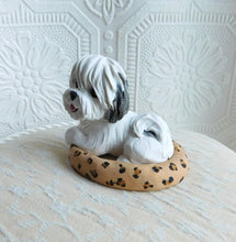 Load image into Gallery viewer, Coton de Tulear in leopard print dog bed hand sculpted Collectible