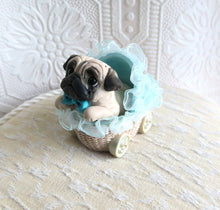 Load image into Gallery viewer, Little Boy Baby Pug puppy in Blue Buggy Hand sculpted Clay Collectible