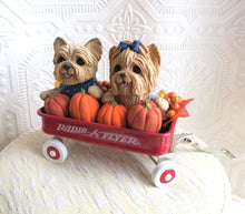 Load image into Gallery viewer, Yorkshire Terrier &amp; Pumpkins Little Red Wagon Hand sculpted Clay Collectible