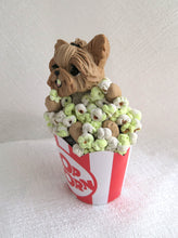Load image into Gallery viewer, Yorkshire Terrier Movie Night! Popcorn Collectible Hand Sculpted Mini