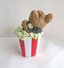 Load image into Gallery viewer, Yorkshire Terrier Movie Night! Popcorn Collectible Hand Sculpted Mini