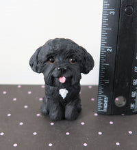 Load image into Gallery viewer, Maltipoo, Havapoo, any Poodle Mix Handmade Resin Collectible