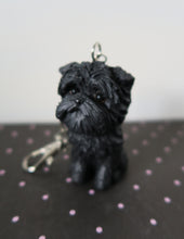 Load image into Gallery viewer, Affenpinscher Hand made Resin Key chain