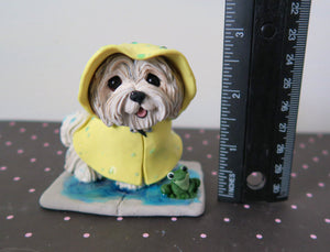 Rainy Day Havanese with frog friend Hand Sculpted Collectible