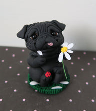 Load image into Gallery viewer, Love Me, Love Me Not? Pug Sculpture Hand Sculpted Collectible