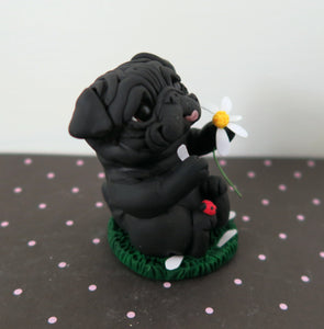 Love Me, Love Me Not? Pug Sculpture Hand Sculpted Collectible
