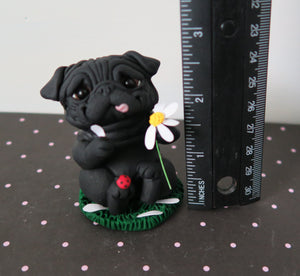 Love Me, Love Me Not? Pug Sculpture Hand Sculpted Collectible