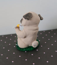 Load image into Gallery viewer, Love Me, Love Me Not? Fawn Pug Sculpture Hand Sculpted Collectible