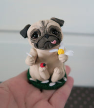 Load image into Gallery viewer, Love Me, Love Me Not? Fawn Pug Sculpture Hand Sculpted Collectible