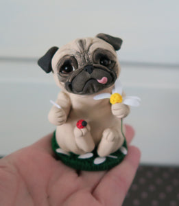 Love Me, Love Me Not? Fawn Pug Sculpture Hand Sculpted Collectible