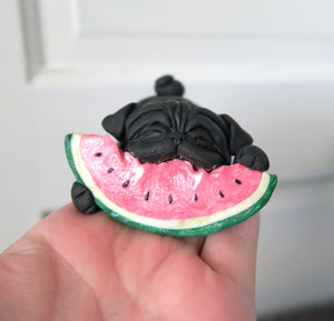 Watermelon Loving Pug Hand sculpted Clay Summertime Collectible