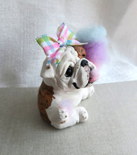 Load image into Gallery viewer, English Bulldog Cotton Candy Hand Sculpted Collectible