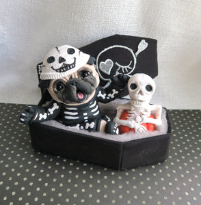 Halloween Skeleton Costume Pug in Cutest Coffin Hand Sculpted Collectible