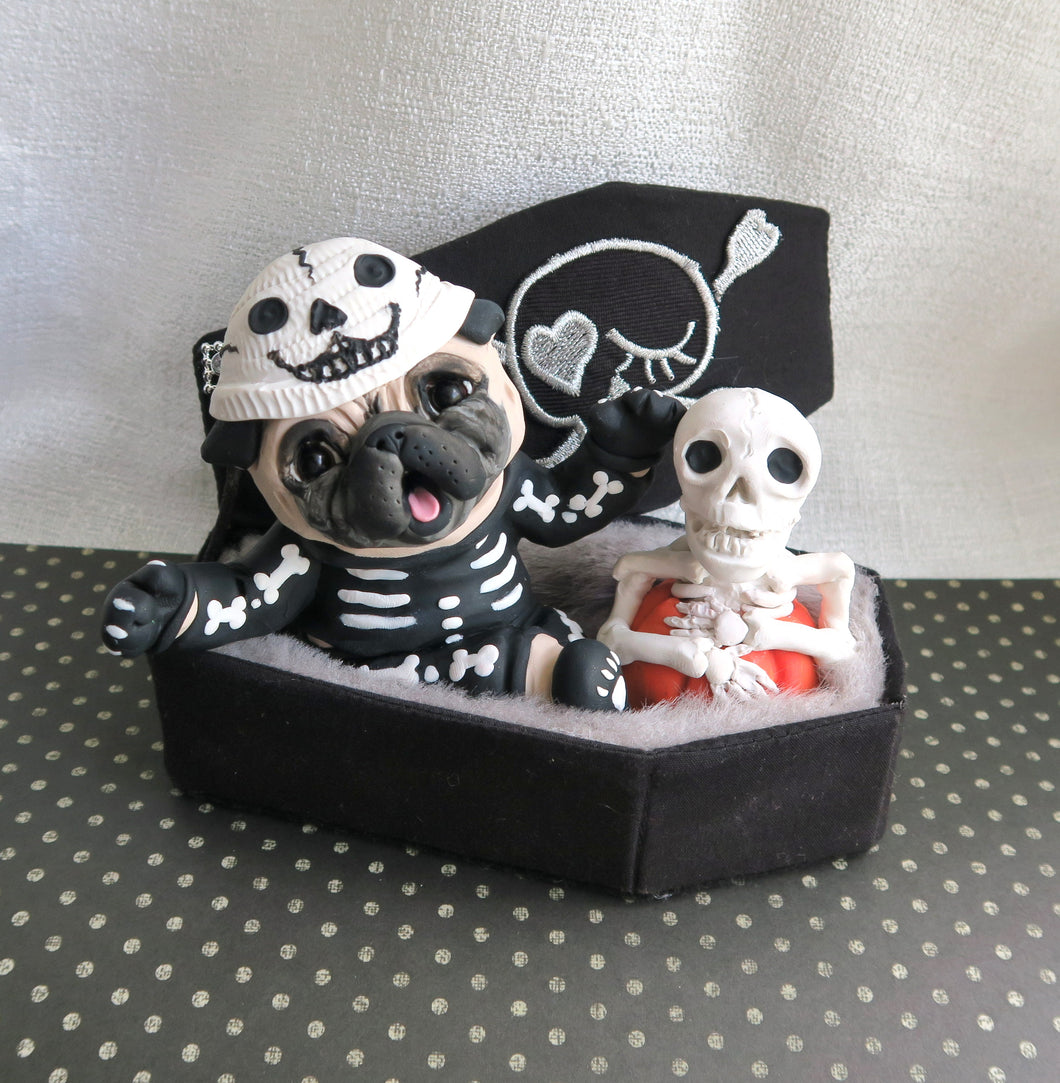 Halloween Skeleton Costume Pug in Cutest Coffin Hand Sculpted Collectible