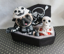 Load image into Gallery viewer, Halloween Skeleton Costume Pug in Cutest Coffin Hand Sculpted Collectible
