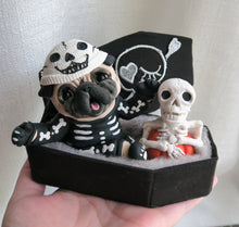 Load image into Gallery viewer, Halloween Skeleton Costume Pug in Cutest Coffin Hand Sculpted Collectible