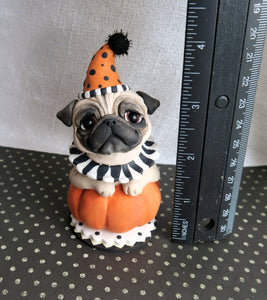 Halloween Pug in Pumpkin Hand Sculpted Collectible