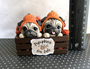 Autumn Pumpkins for Sale Pug Pair Hand Sculpted Collectible