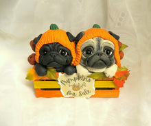 Load image into Gallery viewer, Autumn Pumpkins for Sale Pug Pair Hand Sculpted Collectible
