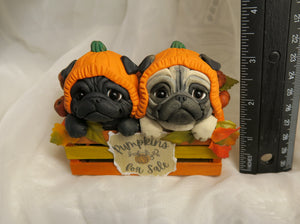Autumn Pumpkins for Sale Pug Pair Hand Sculpted Collectible