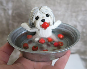 Havanese Bobbing for Apples Hand Sculpted Collectible