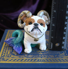 Load image into Gallery viewer, Capricorn English Bulldog Hand Sculpted Collectible