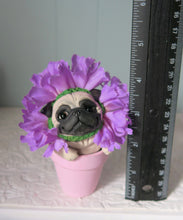Load image into Gallery viewer, Flower Pot Fawn Pug Hand Sculpted Collectible