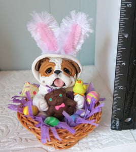 English Bulldog in Easter bunny suit in a Basket full of goodies Hand Sculpted Collectible