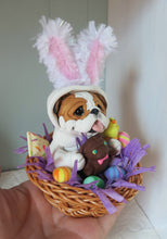 Load image into Gallery viewer, English Bulldog in Easter bunny suit in a Basket full of goodies Hand Sculpted Collectible