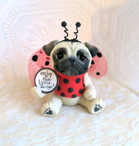 Little Ladybug 